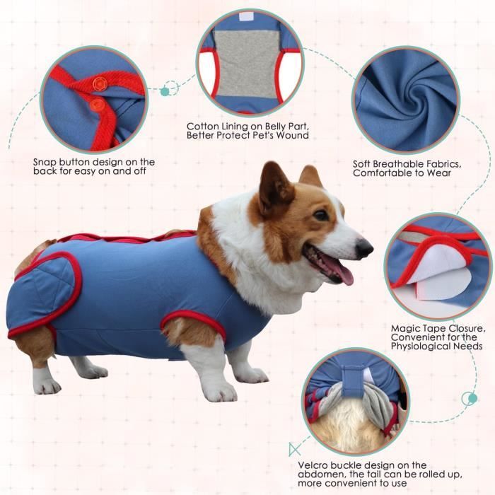 Body Pour Chien Apres Sterilisation Body Chien Post Operatoire Femelle Male Pour Animaux De Compagnie Bandages Abdominaux P u199 Cdiscount