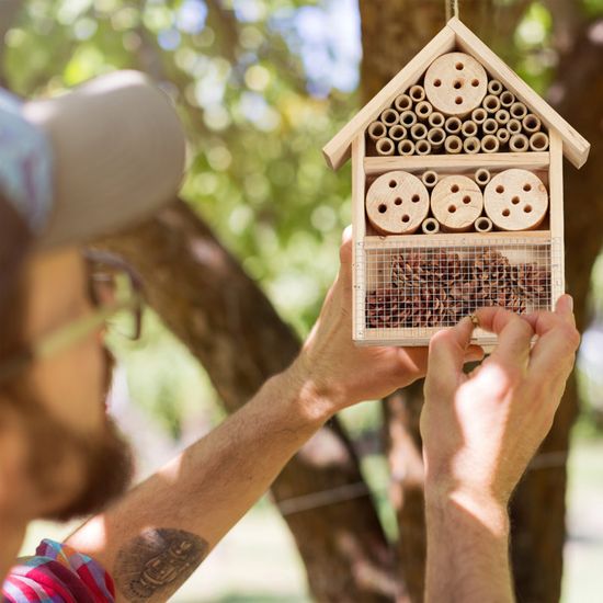 Achat Gardigo Hôtel à Insectes En Bois Abri Naturel Bambou Refuge Pour Hibernation Nidification Cabane  Coccinelle Et Abeilles 0