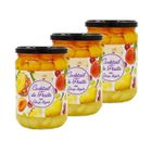 SCRAPCOOKING PARTY Agidra - Lot 3x Cocktail de fruits au sirop léger - pot 560g