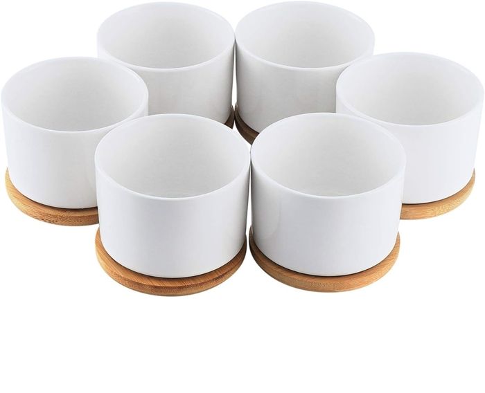 Lot de 6 pots à succulentes en céramique blanc avec plateau en bambou - hexagonal 8 cm trou de drainage