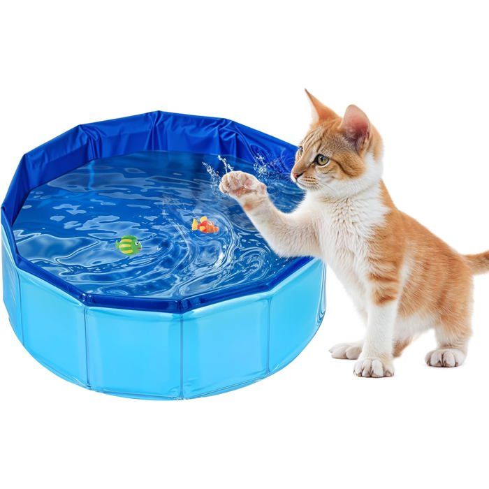Piscine pour chat - Pliable - En PVC - Antidérapante et résistante à lusure - Pour chien et chat - 30 x 11 cm .