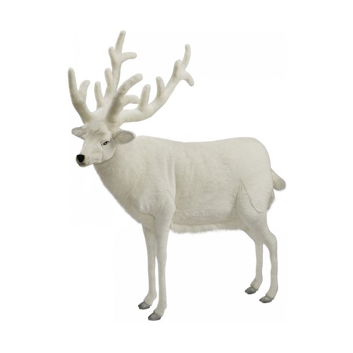 peluche anima