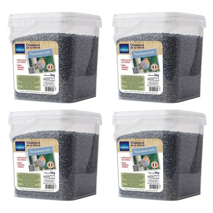 Seau de graines de tournesol noir - Lot de 4 - 2 kgs - Oiseau sauvage - Mélange de graines