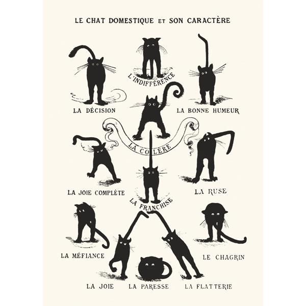 Poster Le Chat domestique et son Caractère - Cdiscount Maison