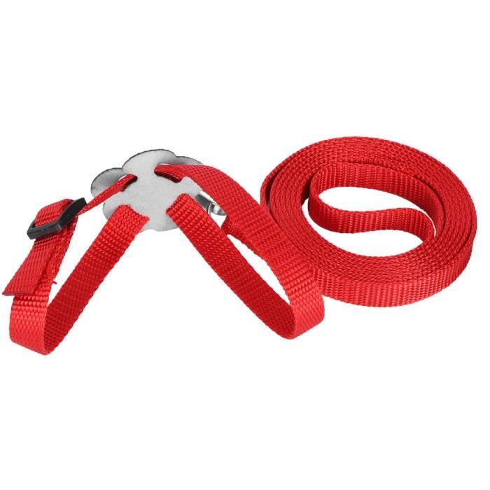 Meilleurs prix pour EJ.life Harnais pour oiseaux laisse de perroquet Harnais Oiseaux Laisse de Perroquet Corde Anti-morsure Réglable en Nylon pour