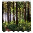 Abakuhaus Forêt Rideau de Douche, Les buissons et les troncs épais, 175 x 240 CM, Marron vert-1