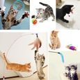 10pcs chat jouets variété paquet pour chaton comprend cataire jouet en peluche souris Scratch Ball & Teaser-1