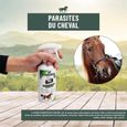 K-OCIDE Répulsif mouche Bio source spray - 450 ml - Pour cheval-3