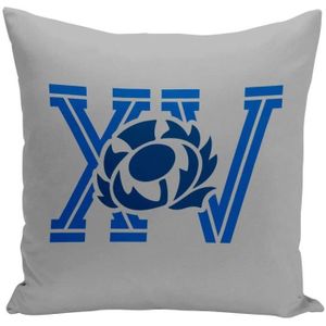 Coussin 40x40 cm XV France Rugby Sport Ballon Equipe