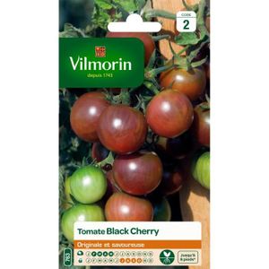 GRAINE - SEMENCE VILMORIN Tomate Black Cherry Sachet de graines