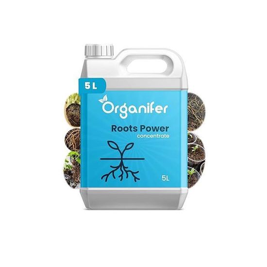 BSI Ecopur Zwarte Zeep Concentraat 500 ml kopen? - tuincentrum