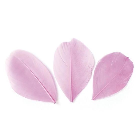 Sachet D Environ 50 Plumes Naturelles Et Coupees De Couleur Rose Pale Pour Apporter Une Touche Creative Et Coloree A Vos Idees Cdiscount Beaux Arts Et Loisirs Creatifs