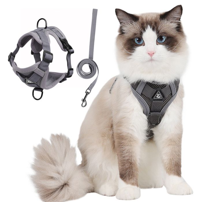 Meilleurs prix pour Harnais Chat /Harnais pour Chatcollier respirant réglable réfléchissant avec corde de traction - gris-S