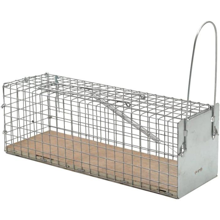 Pige Rat Castoramanull