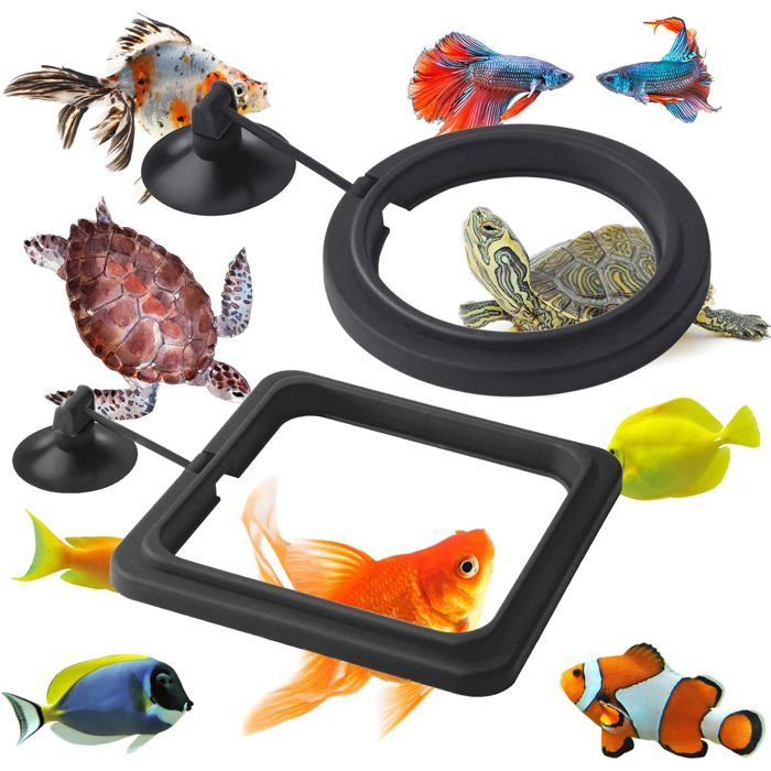 Kit de nourrissage pour aquarium  Comprend 2 accessoires de nourrissage  Adapté aux Bettas et aux poissons rouges  Noir
