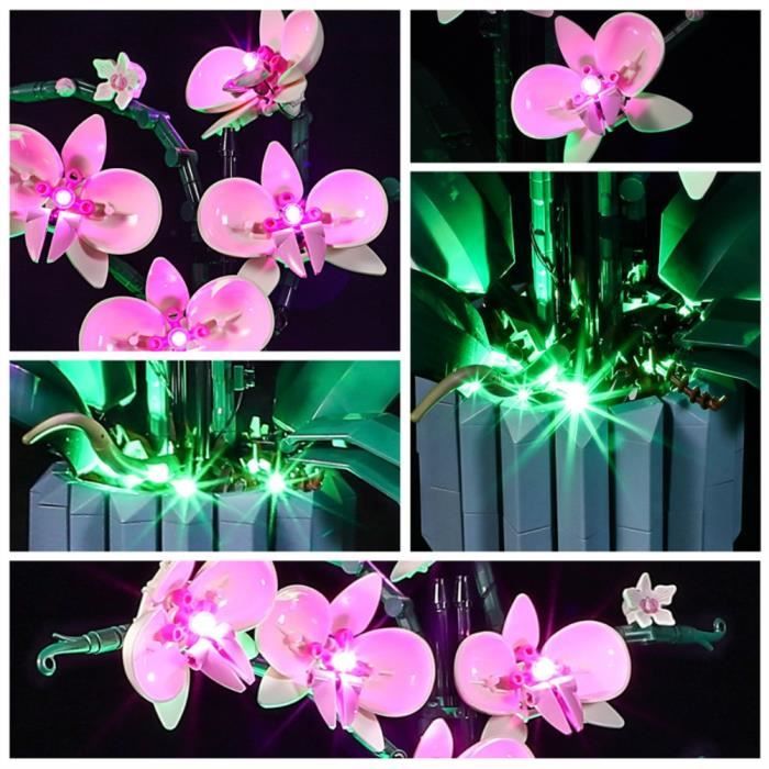 Kit d'éclairage LED pour orchidée Compatible avec LEGO® 10311 -  France