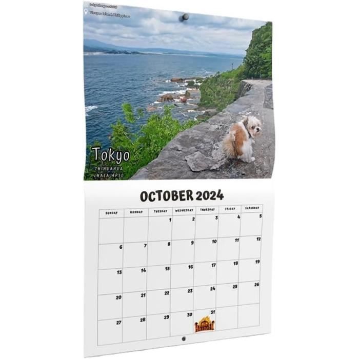 Calendrier Mural 2026 Chats Géants - Photos De Chats Dans Le Monde - Format 25x19 Cm - Décoration Et Organisation