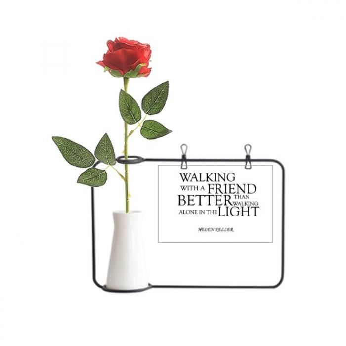 Citation A Propos De L Amitie Par Helen Keller Bouteille De Decoration De Vases Suspendus De Fleur De Rose Artificielle Cdiscount Maison