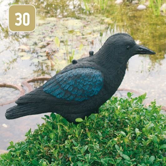 Corbeau Achat Vente Statue Statuette Corbeau Cdiscount