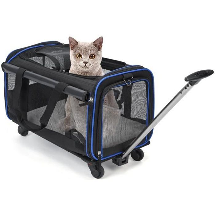 Collision Salle Conduire Caisse De Transport Pour Chat Pas Cher Invalide Comme Ruban