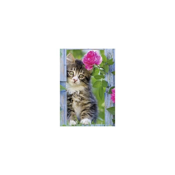 Puzzle Adulte Chat Au Fond Du Jardin 1000 Pieces Animaux Nathan Achat Vente Puzzle Cdiscount Puzzle Adulte Chat Au Fond Du Jardin 1000 Pieces Animaux Nathan Achat Vente Puzzle Cdiscount