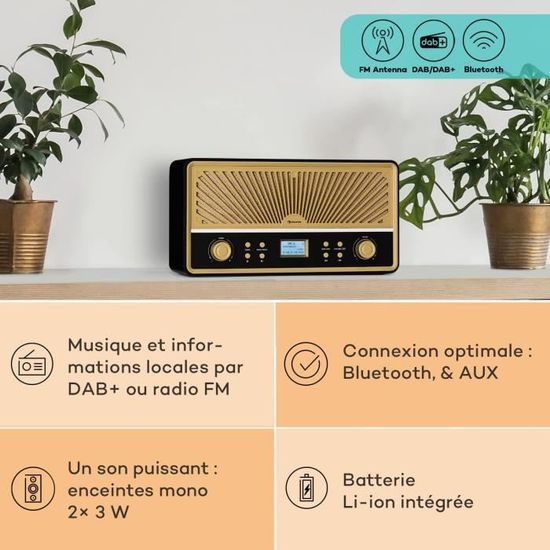 PRUNUS J-328 Radio Portable, Petite Radio Portable Rechargeable avec Fonction d'Enregistrement