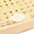 155 pieces Outils d'apiculture en plastique Systeme D'elevage de Reine Boite d'Abeille Tasses de Cellule d'Abeille Cage-3