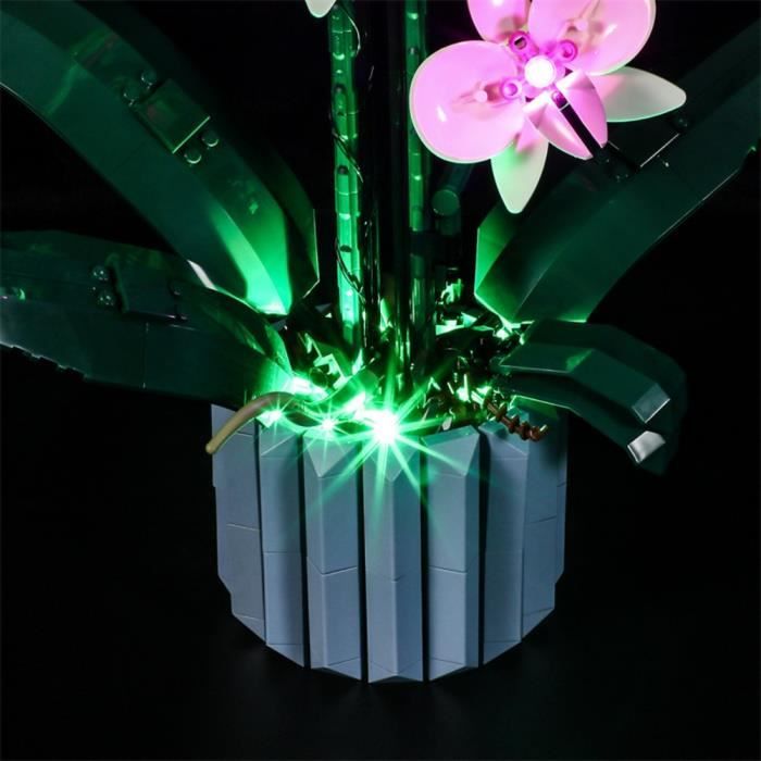 Atyhao Kit d'éclairage LED pour Maquette d'Orchidée Compatible avec Lego  10311 - Décoration Végétale pour Maison et Bureau (Kit - Cdiscount Jeux -  Jouets