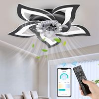NACATIN Ventilateur de plafond à LED 6 Vitesse Fan Silencieux avec Dimmable Eclairage 3 Couleurs 9005 -Noir