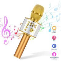 Microphone Sans Fil Karaoké Microphone Bluetooth Lecteur Enregistreur Mini Karaoké Enfant Fête Familial pour Appareil Intelligent