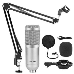 MICROPHONE kits gris argent 2 - Kit de microphone karaoké de 