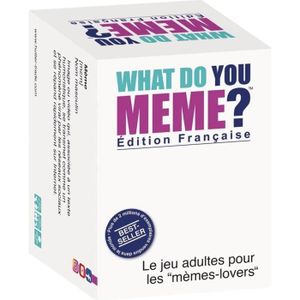 QUESTIONS - REPONSES What do you MEME ? - Jeu d'ambiance - Édition fran