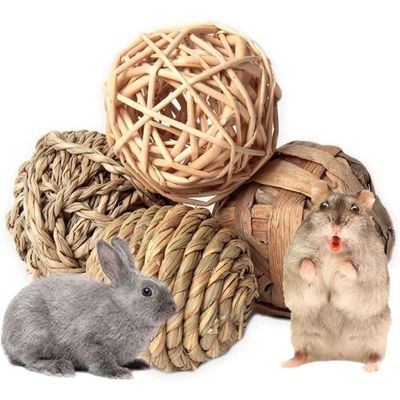 Lapin de Paques a remonter, Carottes, 6 pièces I Jouets de Course I Lapin de Paques a remonter, Carottes, 6 pièces I Jouets de Course I