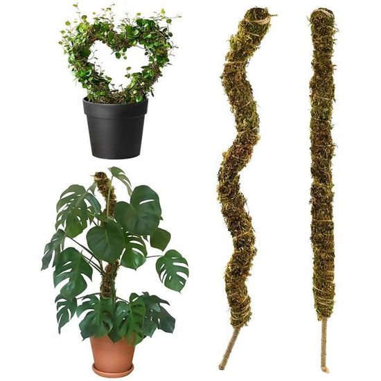 WEWOD Poteau en mousse en plastique pour plantes Monstera, 2 poteaux pour  plantes grimpantes, tuteur pour plantes d'intérieur pour travailler avec de