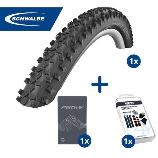 Roue Complète Gocycle Pitstop 20 Pouces - Pneu Schwalbe Smart Sam, Noir