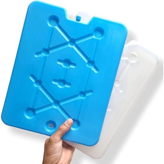 PAIN DE GLACE M10 FREEZ'PACK CAMPINGAZ - Atlantic labo ics