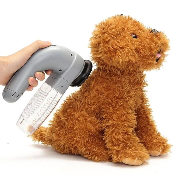 Aspirateur électrique pour poils d'animaux Aspirateur de nettoyage portable pour chats et chiens@