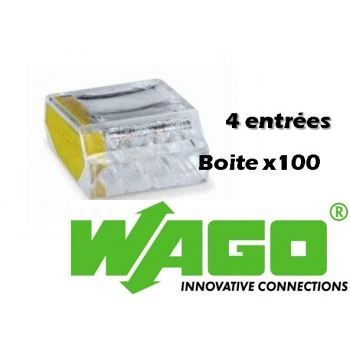 100 Wago 4 entrées, borne...