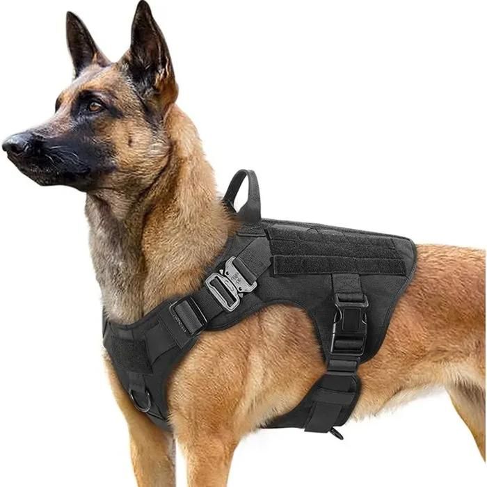 Harnais Tactique - RABBTTGOO - Noir - Réglable - Taille L - Pour Chien