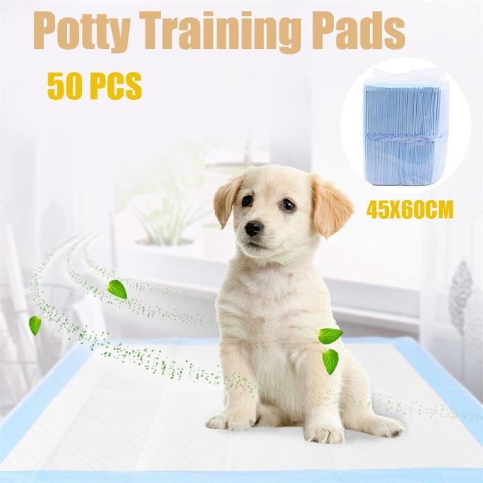 50pcs Couche Culotte Chien Chat Couche Absorbante Pour Animaux De Compagnie Urine Couche Hygienique Formation Rrx Ion Cdiscount 50pcs Couche Culotte Chien Chat Couche Absorbante Pour Animaux De Compagnie Urine Couche Hygienique Formation Rrx Ion Cdiscount