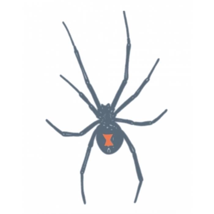 Colle De Prison Tatouage Veuve Noire La Cave Cdiscount Colle De Prison Tatouage Veuve Noire La Cave Cdiscount