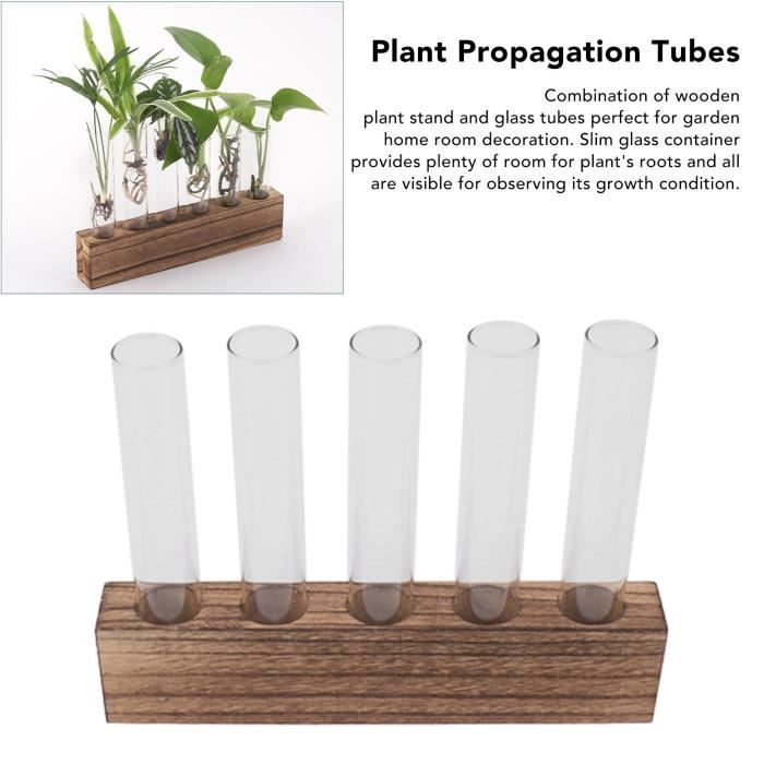 VGECEE Lot De 3 Récipients En Verre Hydroponique Avec Plateau Bois - Station Propagation Plantes