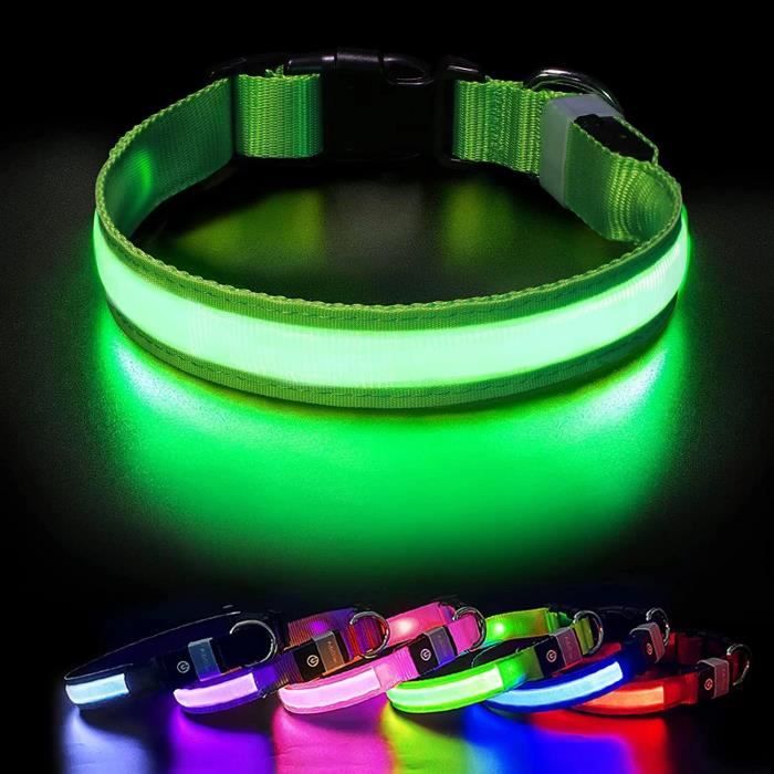 Meilleurs prix pour MASBRILL Collier Lumineux Chien Rechargeable Etanche Fluorescent Collier LED Chien Réglable pour Petits Grands Chiens (Vert, M)