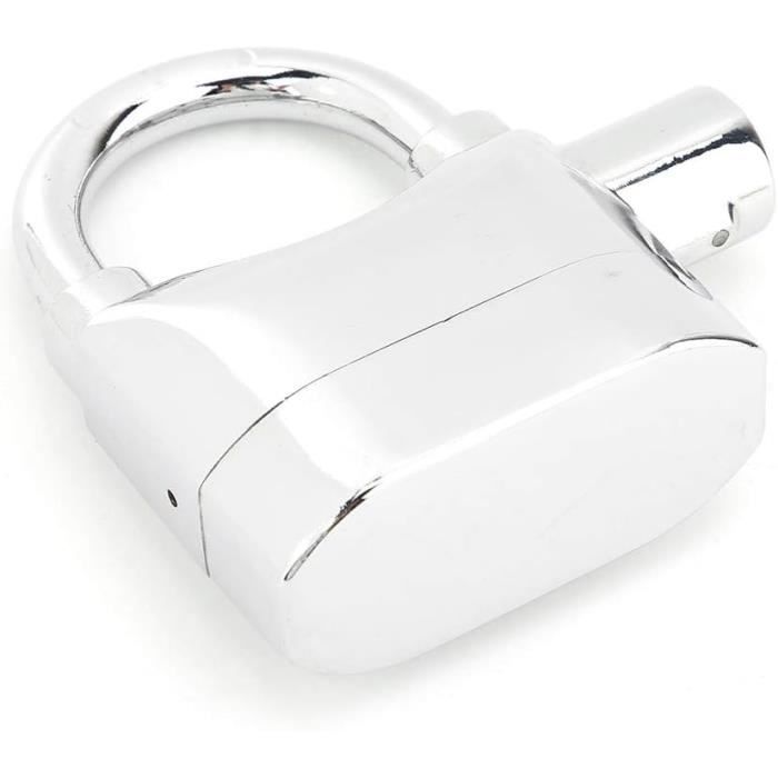 Antivol Serrure De Porte Avec Alarme - Alliage Aluminium - Sécurité Maison