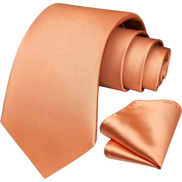 Ensemble Cravate Et Mouchoir De Poche Homme Cachemire - Neuf Sans étiquette