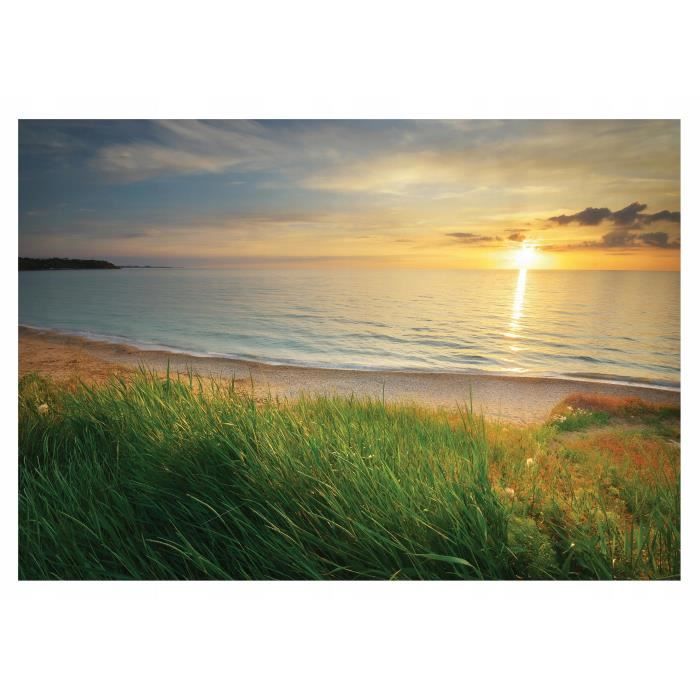 Papier Peint Intissé Plage Mer 368x254 Cm Panoramique Noir Et Blanc