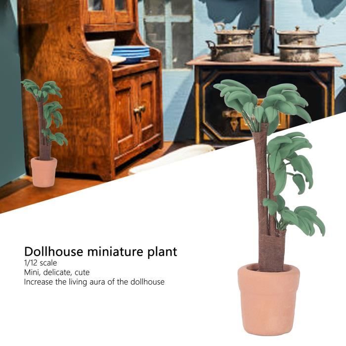 LES 1 / 12 échelle Chambre de poupée micro plantes décoration maison de LES 1 / 12 échelle Chambre de poupée micro plantes décoration maison de