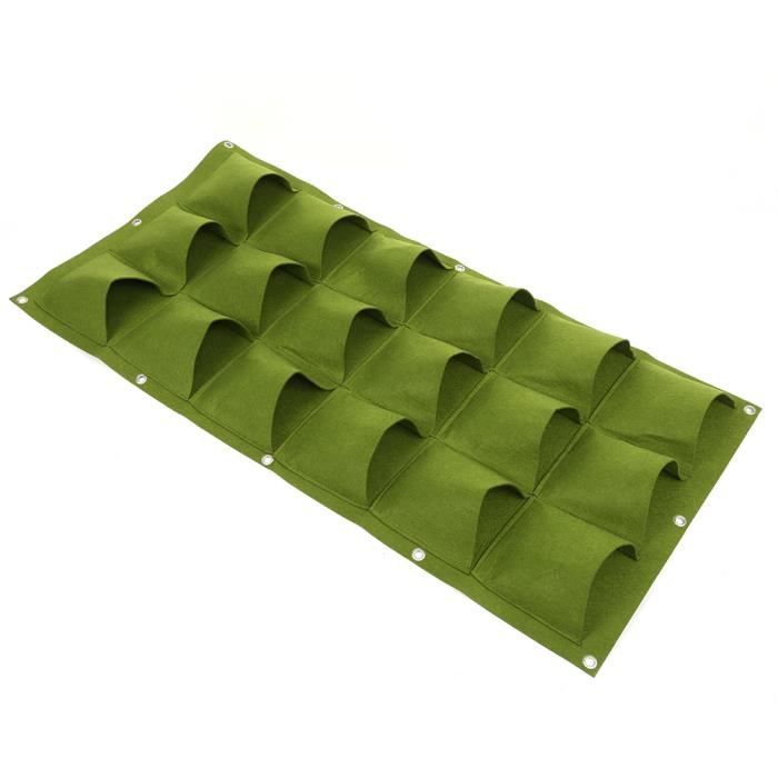 BESPORTBLE 12pièces Moule à Melon Transparent Multifonction Pour Façonnage De Fruits Et Décoration De Jardinage De De Fruits Ginseng Et Melon