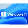 Windows 11 Pro Professionnel 32/64-0