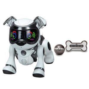Chien Robot Teksta